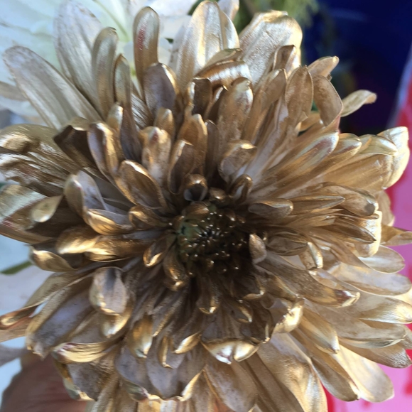 Meet your Posher, Aracely - Picture 1 of 1